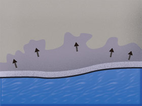 砂浜・海岸平野