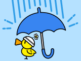 大雨に備える防災知識