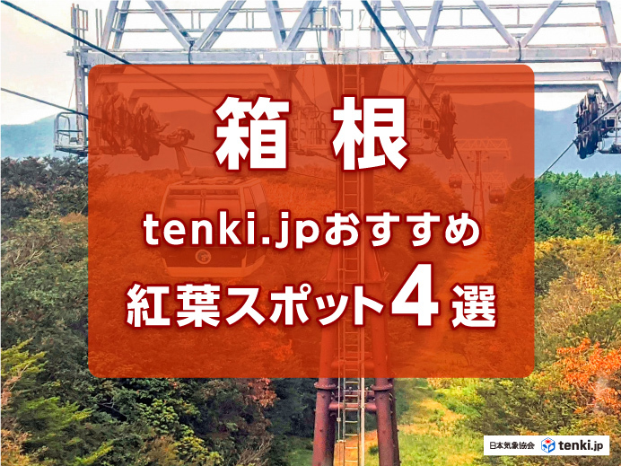 箱根 tenki.jpおすすめ紅葉スポット４選