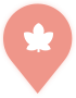 pin-other-point-icon