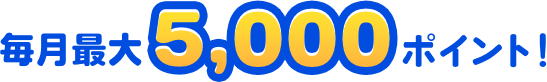 毎月最大5,000ポイント