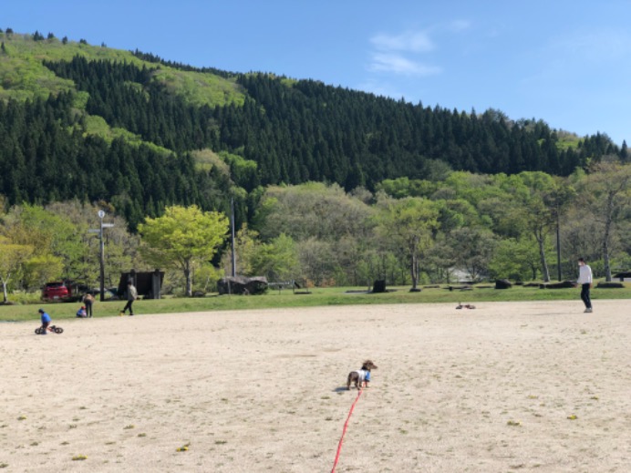 深入山グリーンシャワーオートキャンプ場