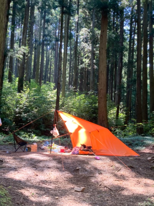 森林公園 クリアランス 宇都宮 キャンプ場 ペット