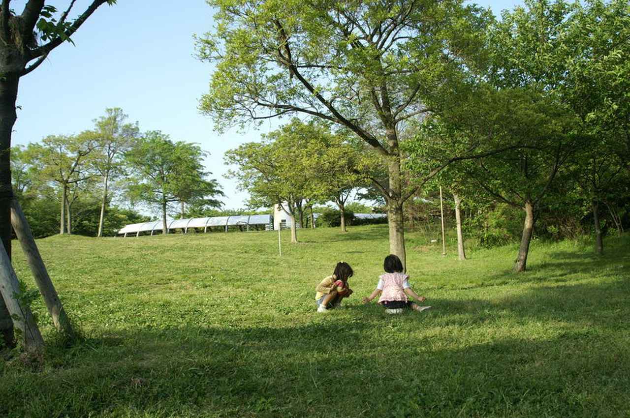 ママライター直伝 公園遊びを楽しくする3つの方法 子供との休日の過ごし方を多彩に お役立ちキャンプ情報 年10月13日 日本気象協会 Tenki Jp