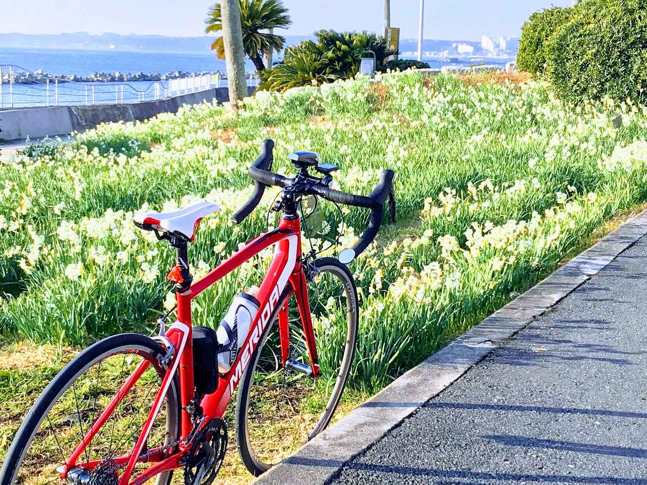 自転車の情報をまとめるサイトです など自転車の情報をまとめています