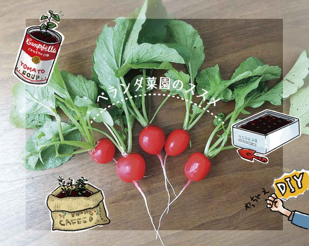 ベランダ菜園を始めよう 自作プランターで簡単 キャンパーにおすすめの野菜紹介 お役立ちキャンプ情報 年06月04日 日本気象協会 Tenki Jp