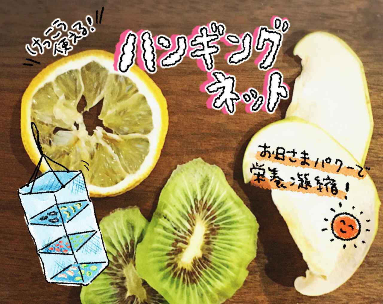ドライフルーツの作り方 ハンギングドライネットで簡単 干物 干し野菜も お役立ちキャンプ情報 年05月31日 日本気象協会 Tenki Jp