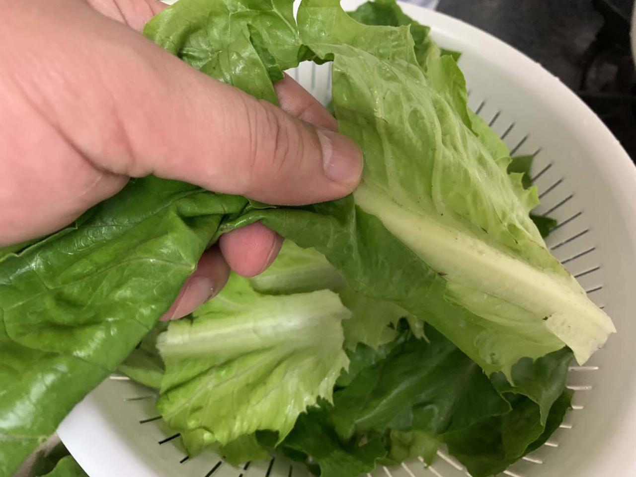 画像6: 筆者撮影
