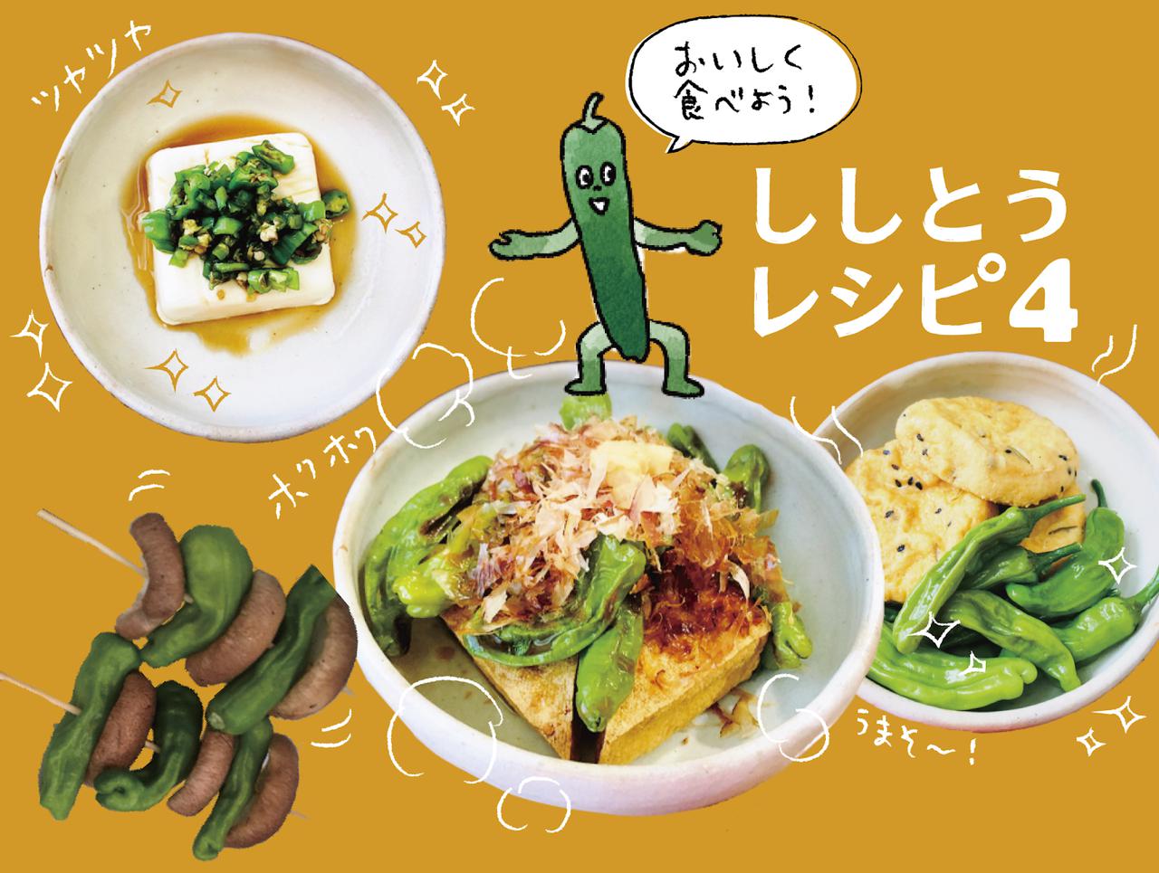 夏野菜レシピ 栄養たっぷり ししとうの食べ方4選 簡単キャンプ飯 おつまみにも お役立ちキャンプ情報 年07月日 日本気象協会 Tenki Jp