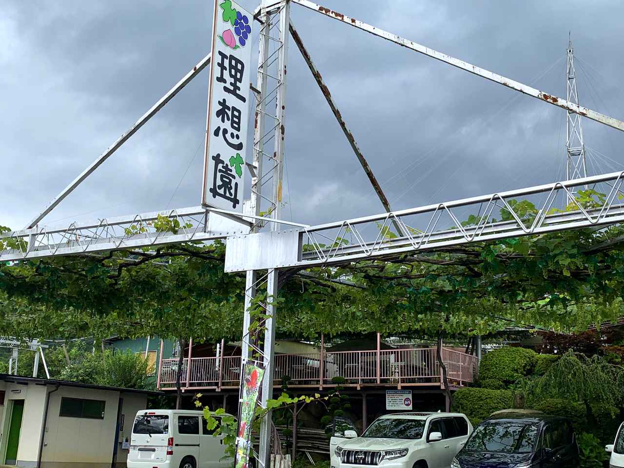 体験レポ 山梨県勝沼の 理想園 で特大の桃狩り 旬の桃は今が狙い目 食べ放題も お役立ちキャンプ情報 年07月24日 日本気象協会 Tenki Jp