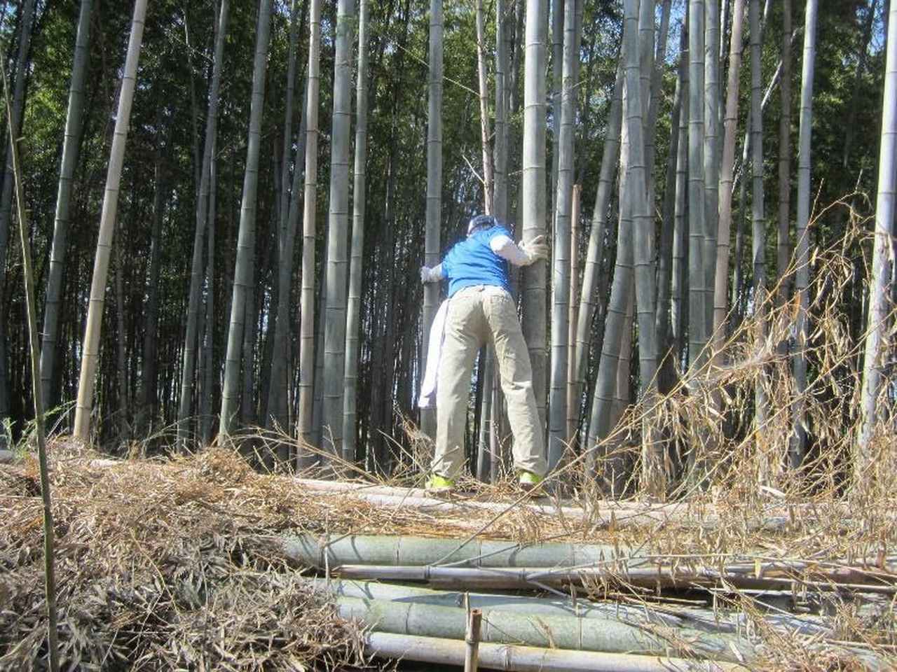 流しそうめんdiy 本格的な竹を使った流しそうめん用 流し竹 のdiyをご紹介 キャンプ場でも楽しめます お役立ちキャンプ情報 年08月22日 日本気象協会 Tenki Jp