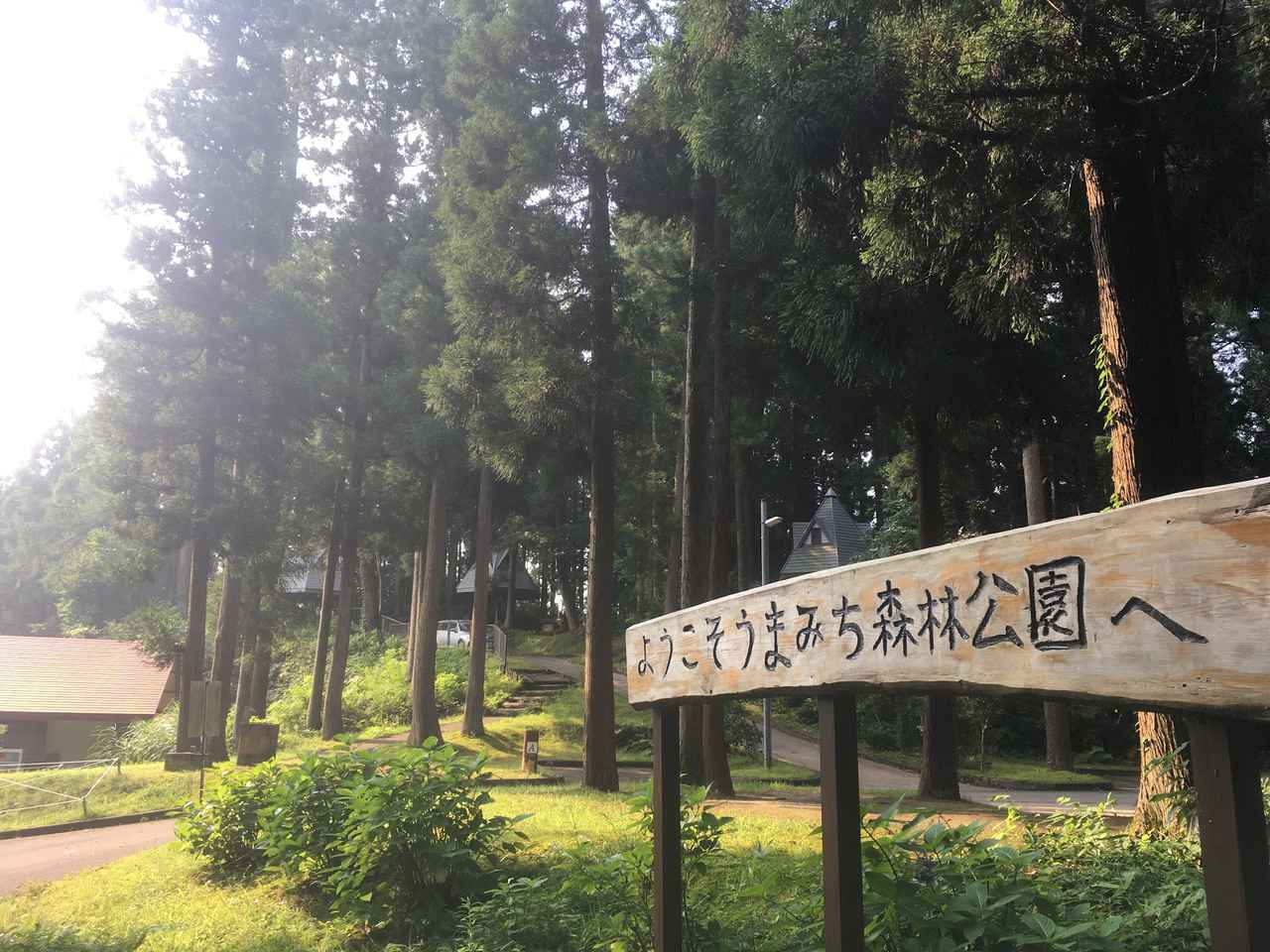 新潟県長岡市 うまみち森林公園 キャンプ場レポート 日帰り温泉 海の幸 海水浴場など周辺施設情報も お役立ちキャンプ情報 年09月01日 日本気象協会 Tenki Jp