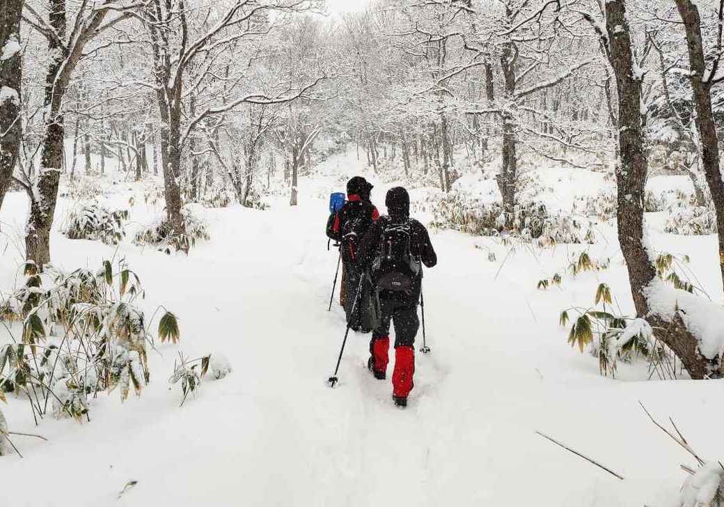 雪山初心者必見】冬の登山を安全に楽しむための基本装備！防寒対策と