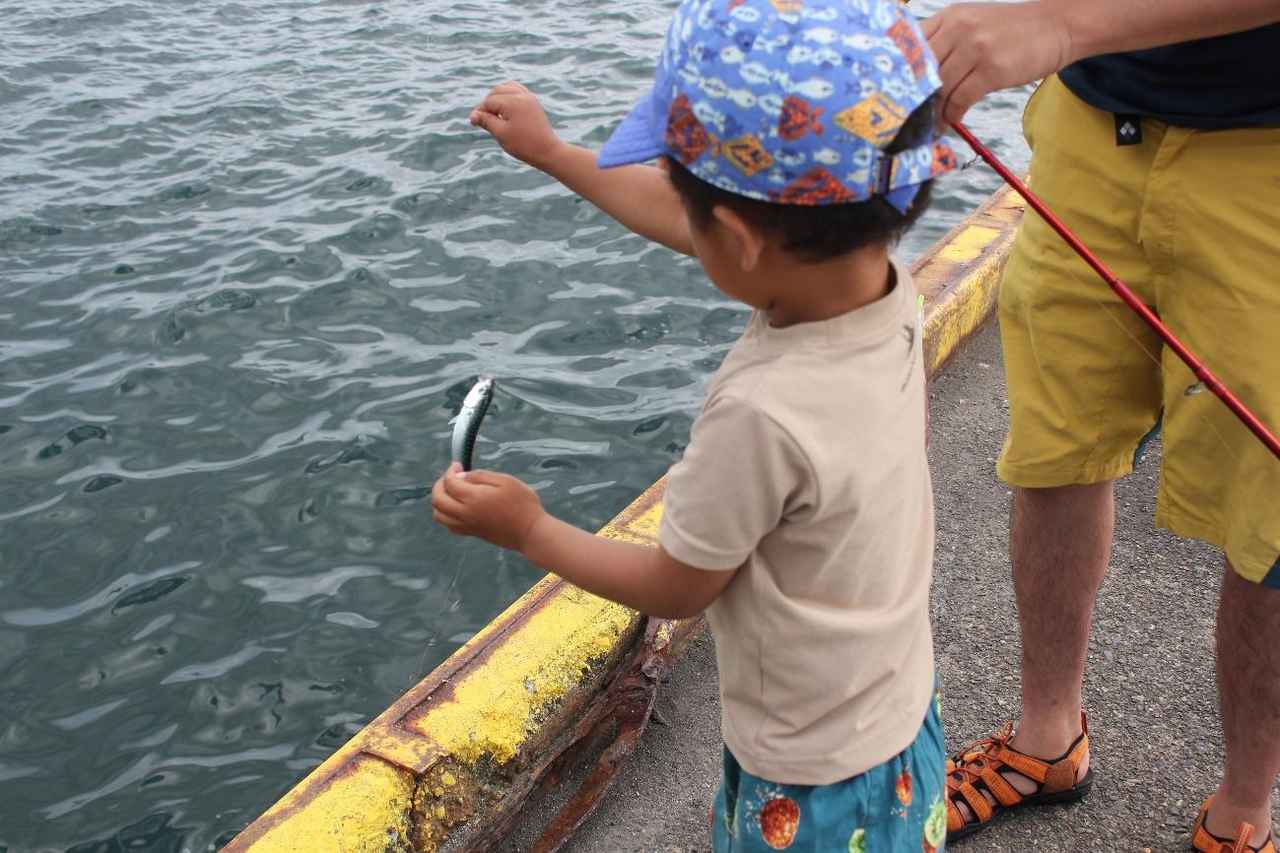 海釣り初心者でも楽しめる サビキ釣り とは 釣り方から必要な道具など一挙紹介 千葉 神奈川のおすすめスポット情報も お役立ちキャンプ情報 21年02月17日 日本気象協会 Tenki Jp