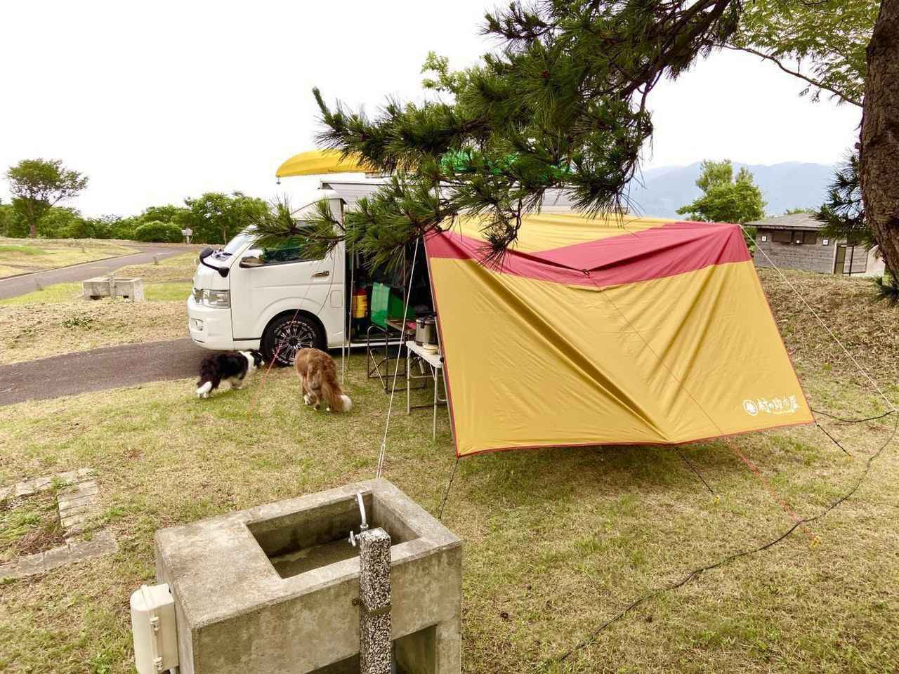 キャンプの基本シリーズ3】キャンプ歴40年のライターが教える『タープの張り方』(お役立ちキャンプ情報 | 2021年02月20日) - 日本気象協会  tenki.jp
