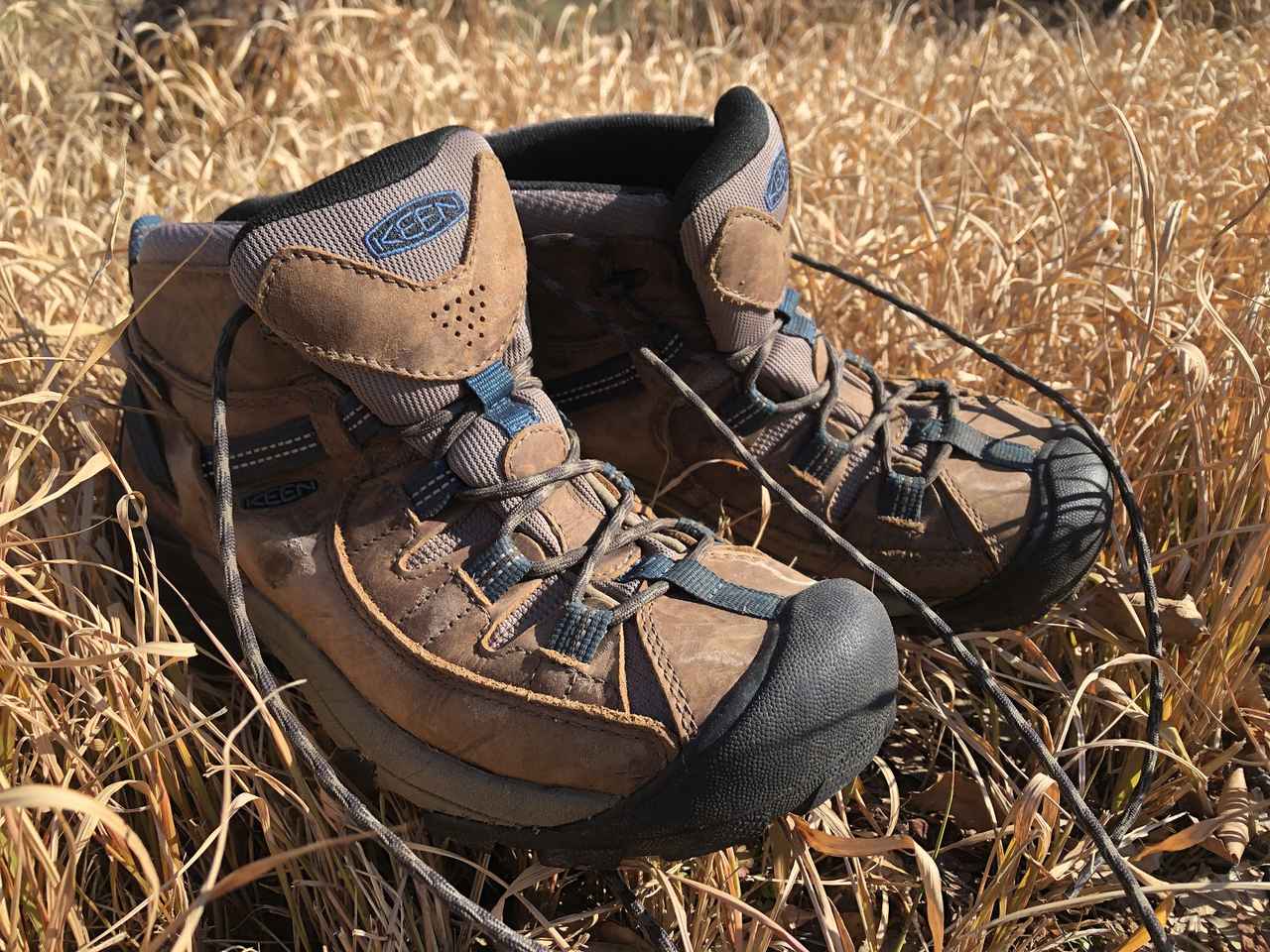 KEEN MENS TARGHEE WP 27㎝ 防水