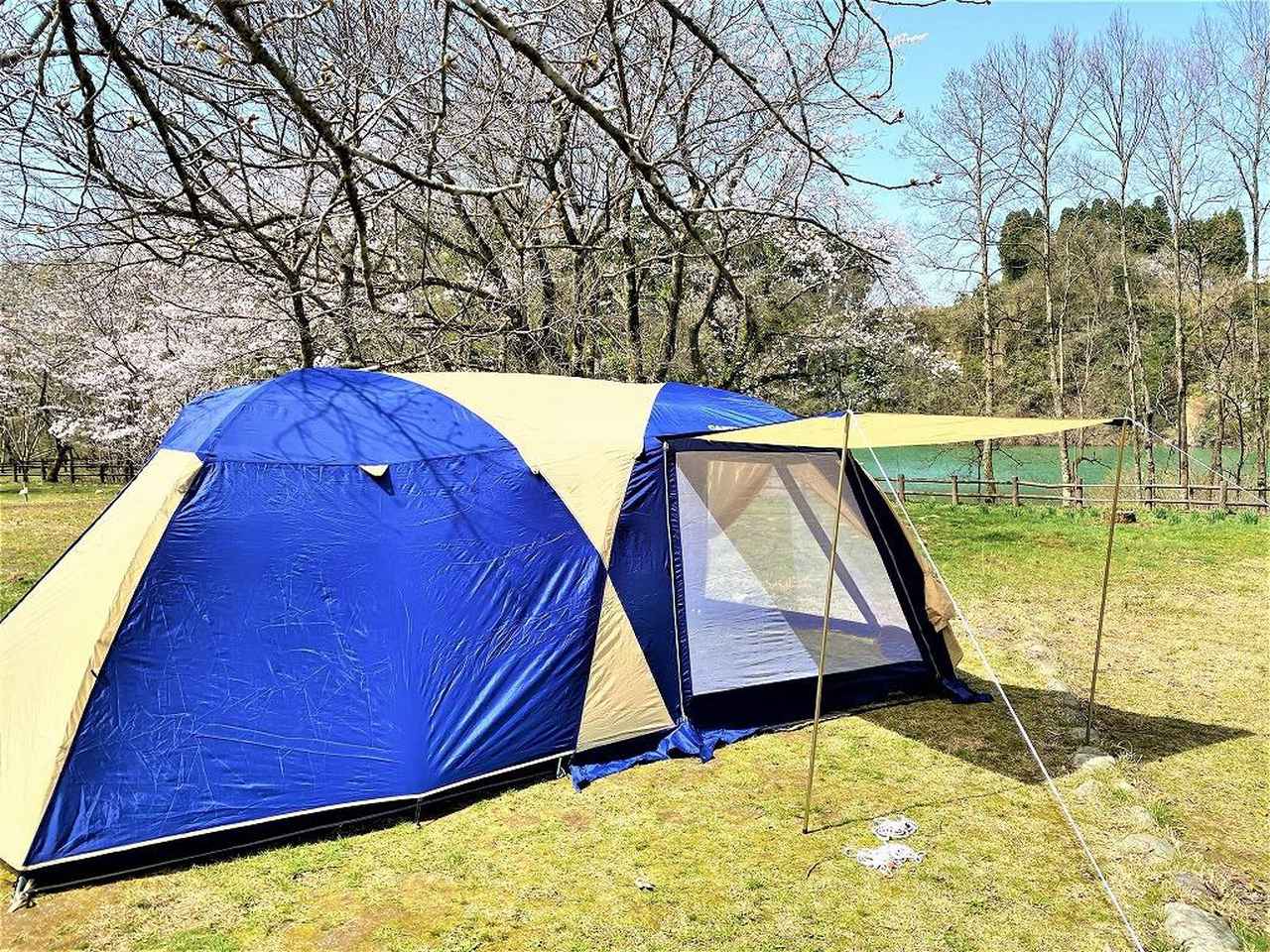 贅沢品 Cameliaオンラインショップキャプテンスタッグ キャンプ テント