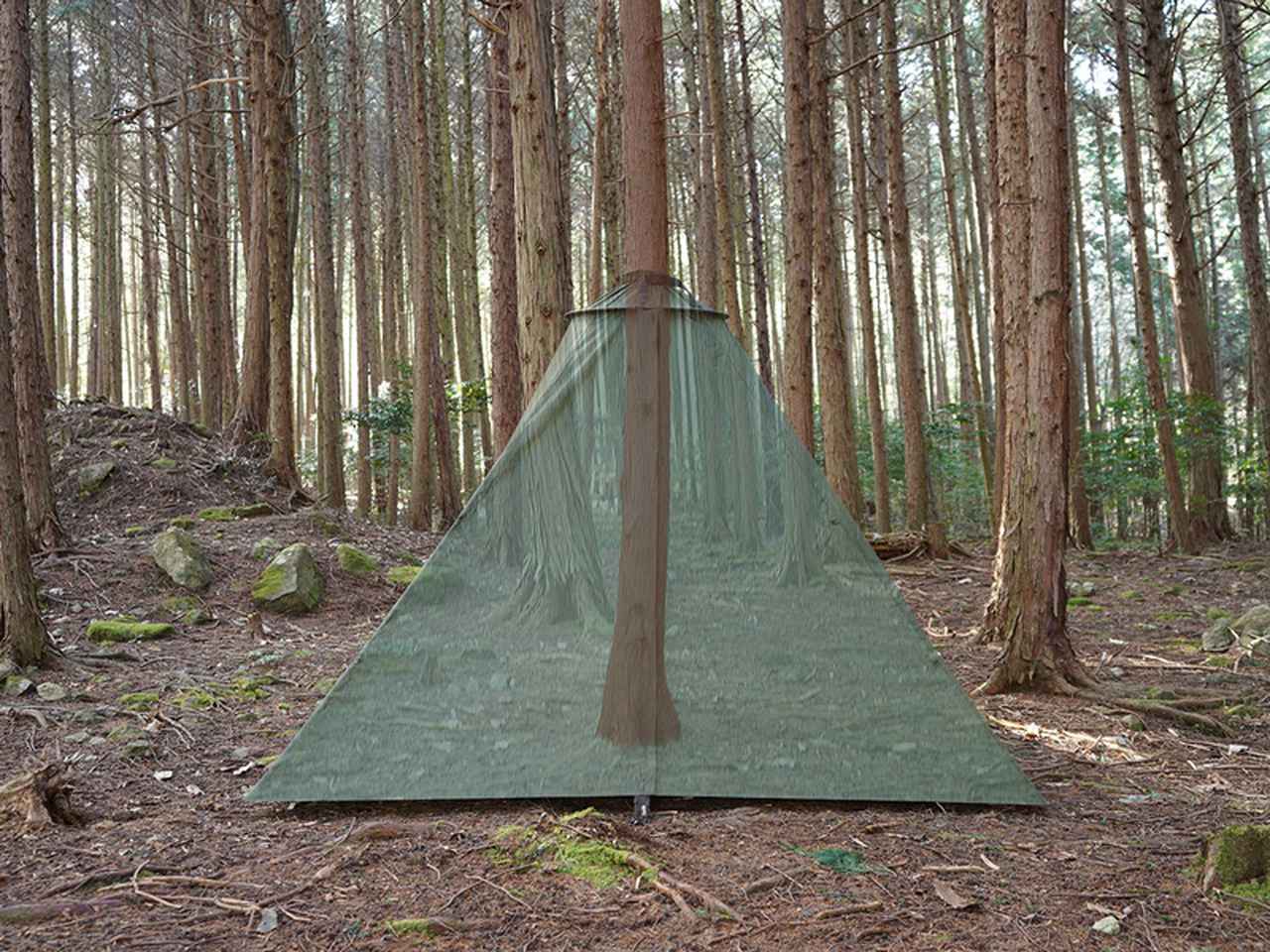 画像1: DOD(ディーオーディー)の新作テント「TREE LOVE(トゥリーラブ)」は木がメインポール?!新しいキャンプの楽しみ方を紹介