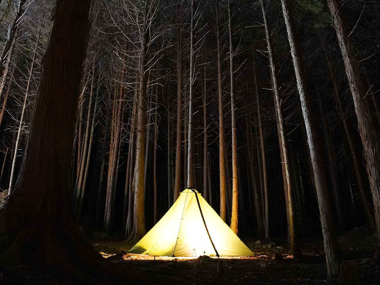 画像2: DOD(ディーオーディー)の新作テント「TREE LOVE(トゥリーラブ)」は木がメインポール?!新しいキャンプの楽しみ方を紹介