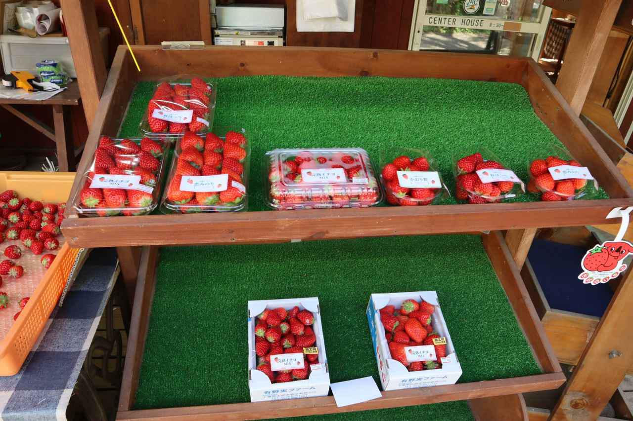 画像: 季節によっては採れたてのイチゴも販売 筆者撮影
