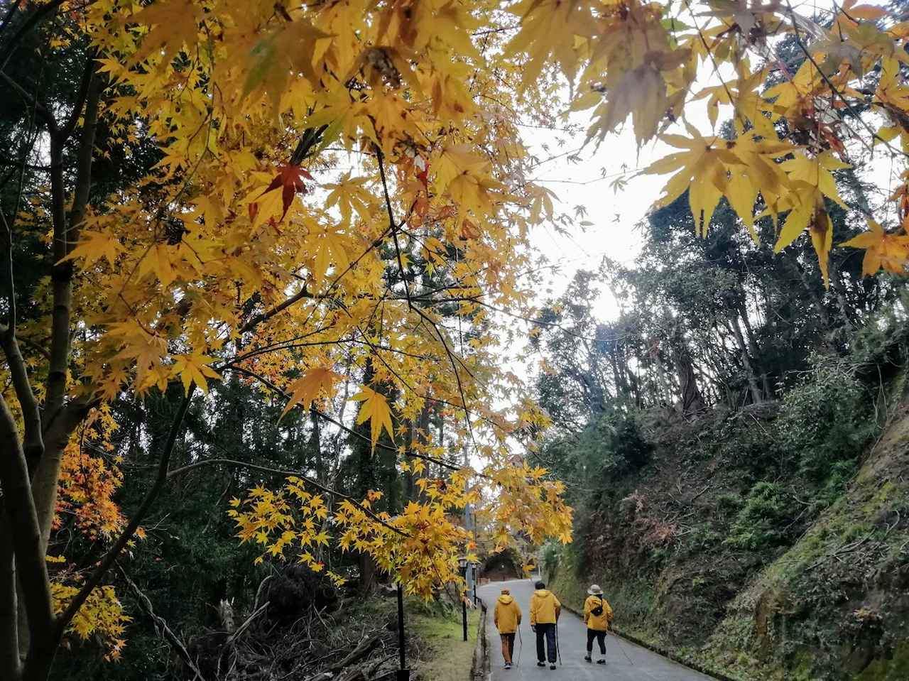 画像6: 筆者撮影