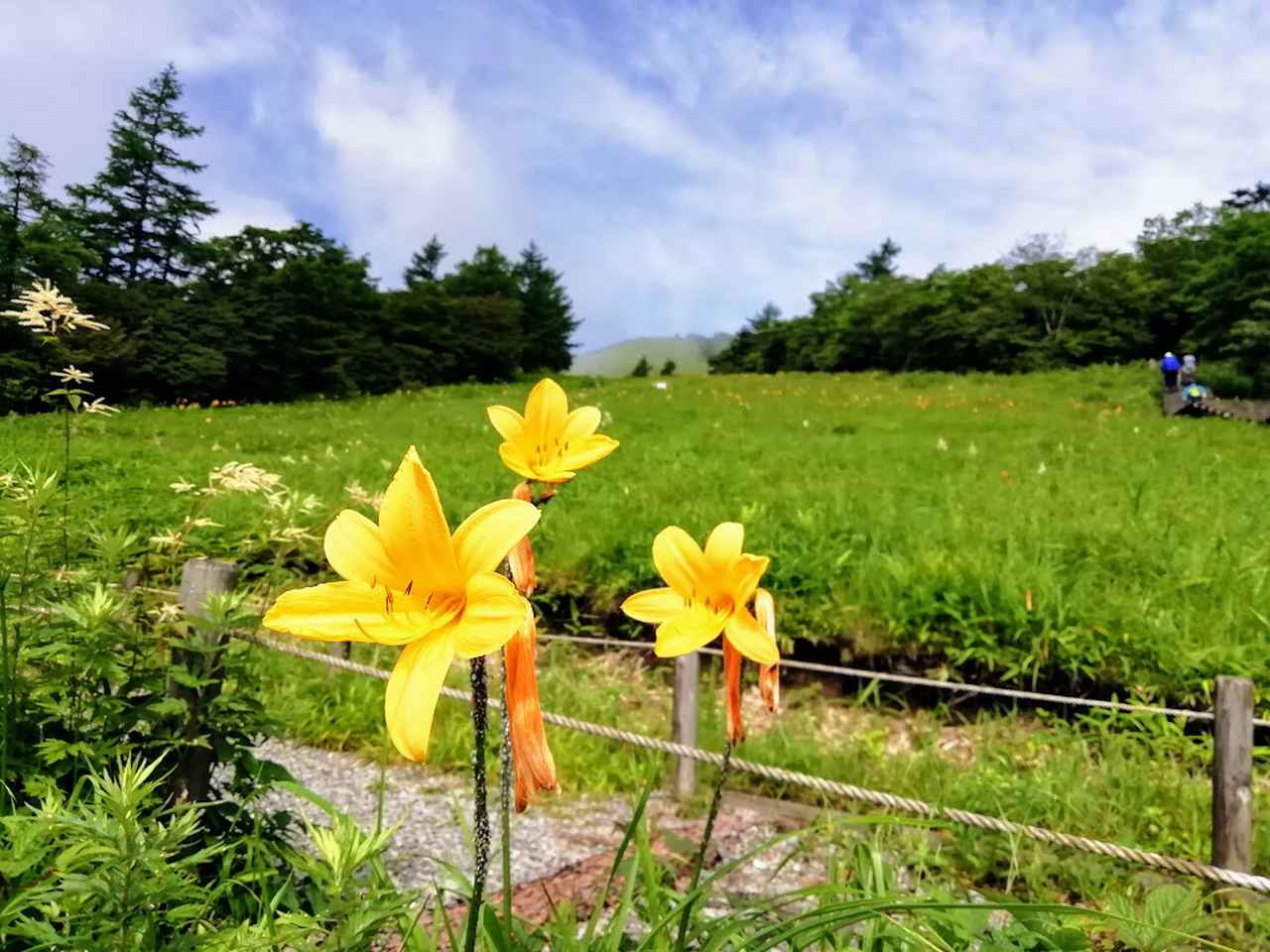 画像: 筆者撮影 7月の霧降高原