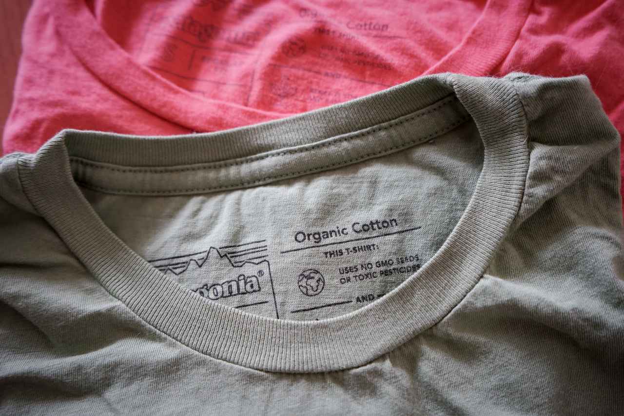 結局Tシャツはパタゴニア！キャンプライターが365日着れるPatagonia T