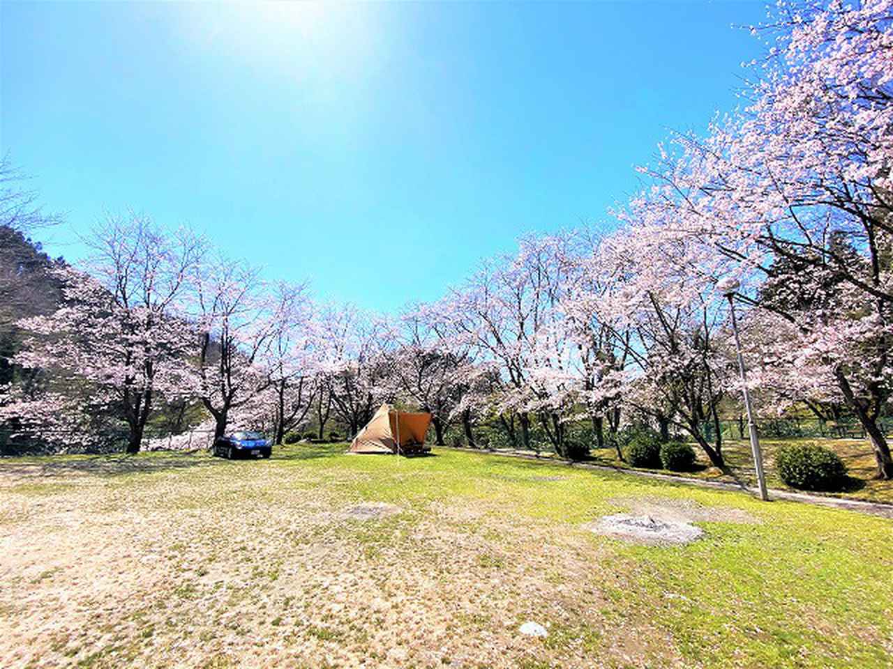 富山 岐阜 春のお花見が楽しめるキャンプ場6選 お役立ちキャンプ情報 22年03月18日 日本気象協会 Tenki Jp