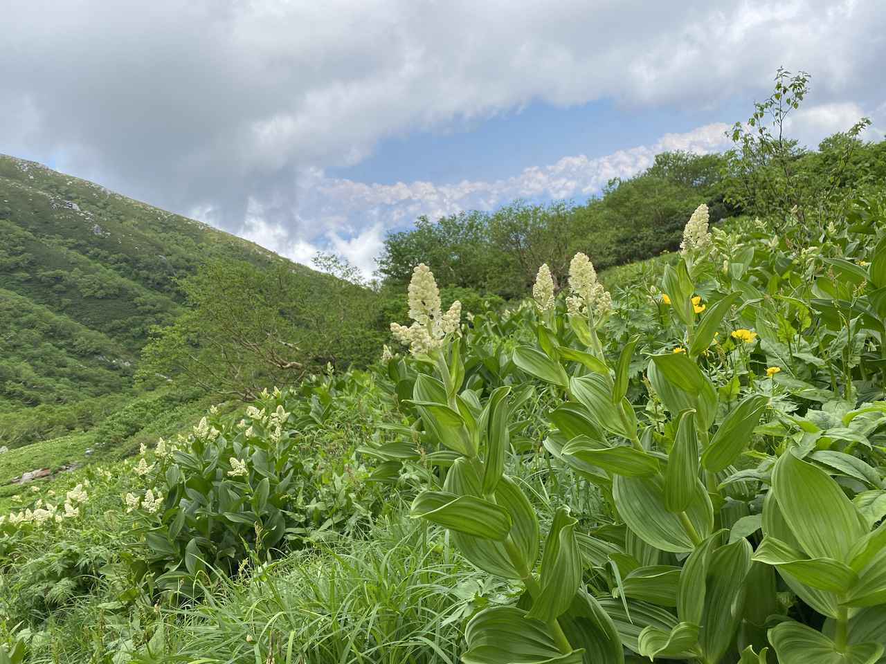 長野県駒ヶ根市 こまがねの森キャンプ場 でアットホームなキャンプを満喫 登山の拠点にも お役立ちキャンプ情報 22年03月22日 日本気象協会 Tenki Jp