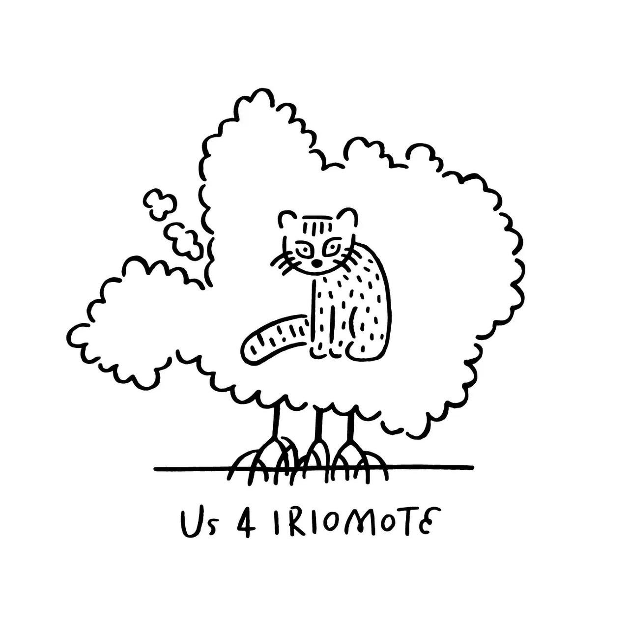 画像: 「Us 4 IRIOMOTE」とは？