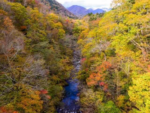 五色渓谷の紅葉見ごろ情報 天気 日本気象協会 Tenki Jp