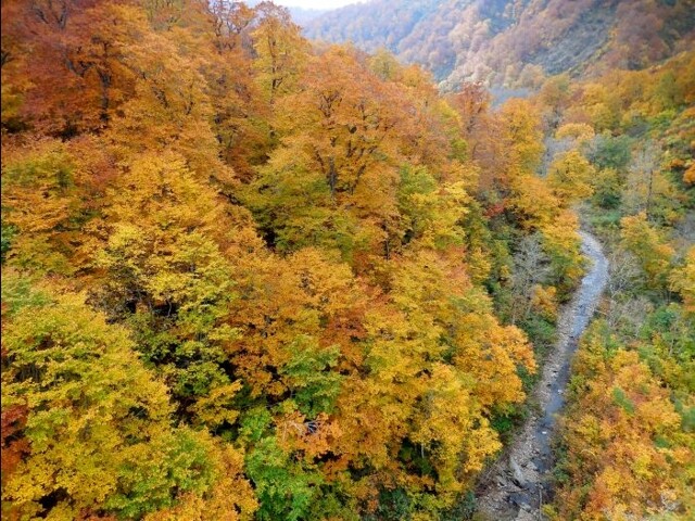 胆沢川渓谷の写真