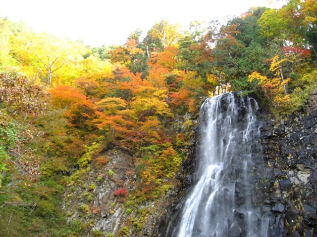 立又渓谷 幸兵衛滝 の紅葉見ごろ情報 天気 日本気象協会 Tenki Jp