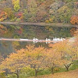 朝日スーパーライン(三面ダム周辺)
