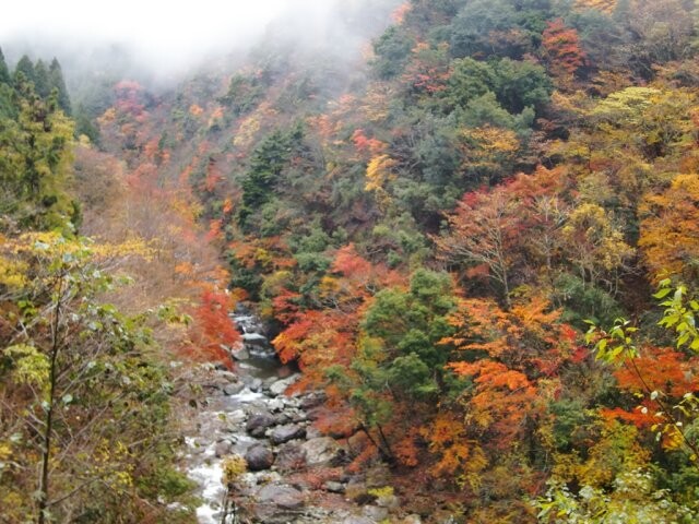 福士川渓谷の写真