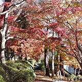 桜ヶ丘公園