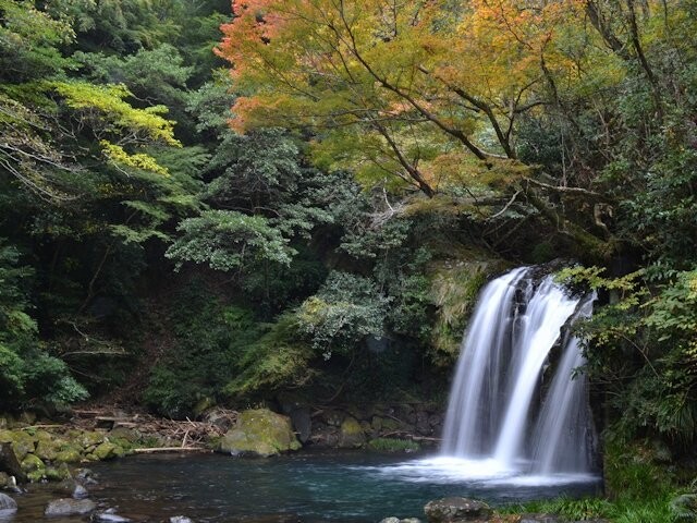 河津七滝の紅葉見ごろ情報 天気 日本気象協会 Tenki Jp