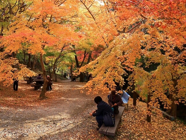 宮妻峡 水沢もみじ谷の紅葉見ごろ情報 天気 日本気象協会 Tenki Jp