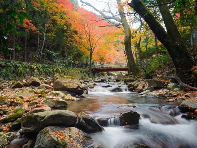 くらがり渓谷の紅葉見ごろ情報 天気 21 日本気象協会 Tenki Jp
