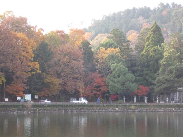 三島池の写真
