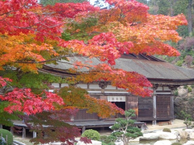 善水寺(湖南三山)の写真