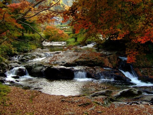 県立自然公園 八重滝の写真
