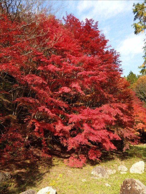 矢野温泉公園・四季の里の写真