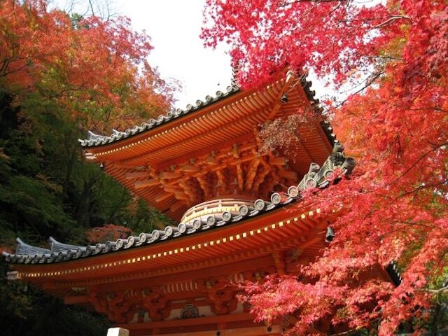 牛滝山 大威徳寺の写真