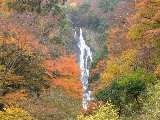 神庭の滝自然公園の写真