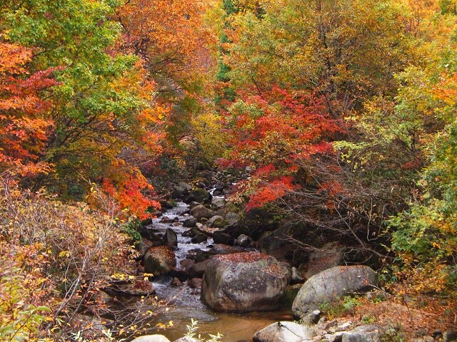 赤和瀬渓谷の写真
