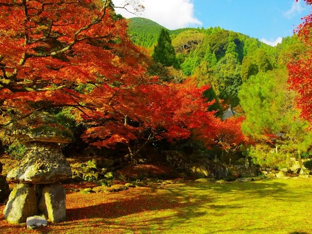 華山 神上寺 の紅葉見ごろ情報 天気 21 日本気象協会 Tenki Jp