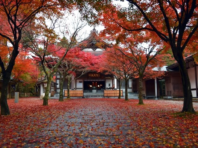 呑山観音寺の写真