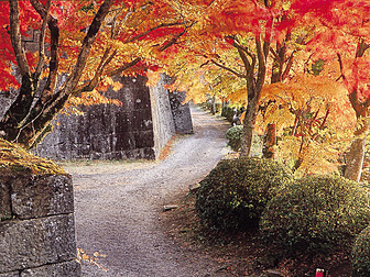 岡城跡の紅葉見ごろ情報 天気 日本気象協会 Tenki Jp