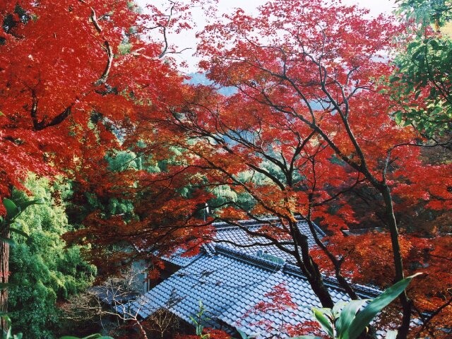 永勝寺の写真